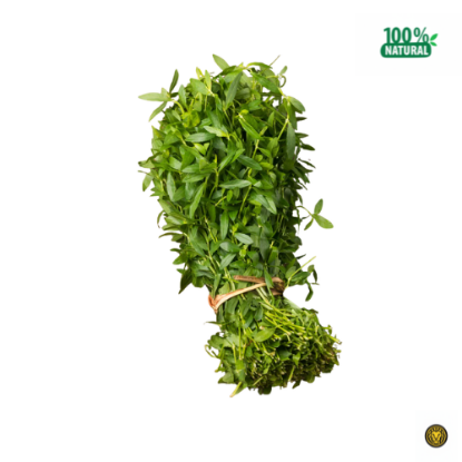 Picture of Fresh Alternanthera Sessilis (Ponnanngani/Kanchari)