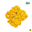 Picture of Fresh Yellow Rose Pooja Flower