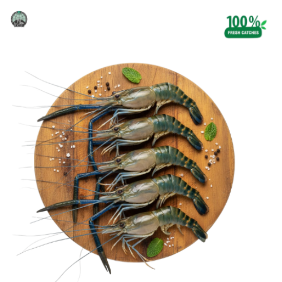 Picture of Tiger Prawns Medium