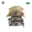 Picture of Fresh Flower Crab