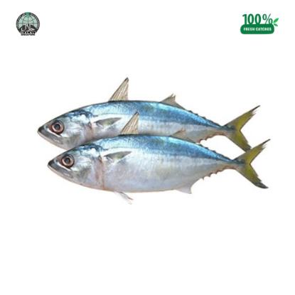 Picture of Batang Fish (Whole)